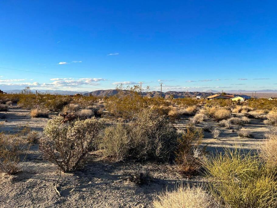트웬티나인팜스 Joshua Tree National Park - Cozy Palms Getaway 아파트 외부 사진