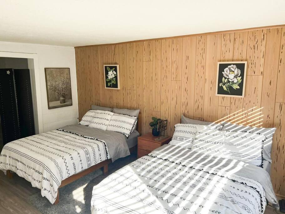 트웬티나인팜스 Joshua Tree National Park - Cozy Palms Getaway 아파트 외부 사진